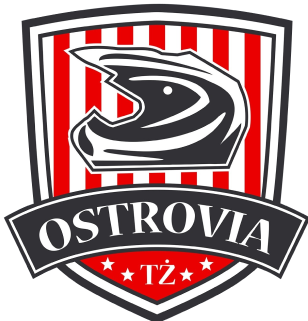 Moonfin Malesa Ostrów Wielkopolski Logo