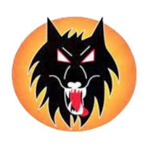 Wolverhampton Wolves Logo